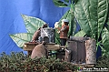 VBS_6951 - Presepe Meccanico di Nonna Rosi 2024